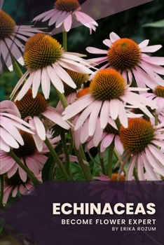 Echinaceas: Become flower expert