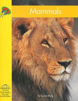 Mammals - Book  of the Yellow Umbrella Books: Science