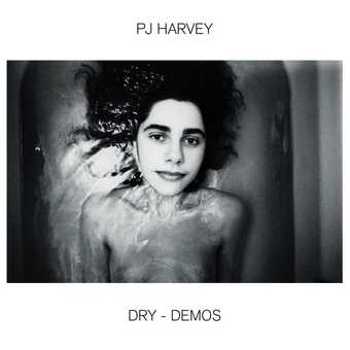 Vinyl Dry - Demos (LP) Book