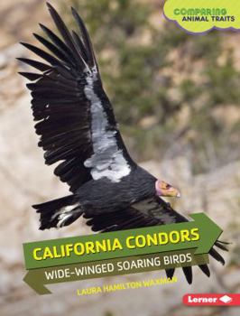 Library Binding California Condors: Wide-Winged Soaring Birds Book