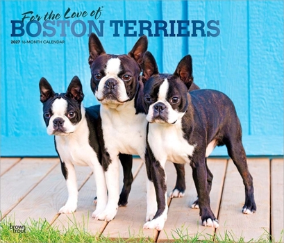 For the Love of Boston Terriers 2027 14 X 24 Inch (Hanging) Monthly Deluxe Wall Calendar Foil Stamped Cover Plastic-Free
