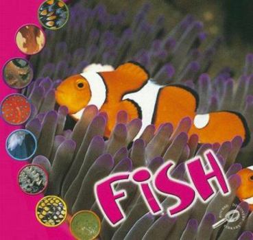 Paperback Fish (What Is an Animal?) Book