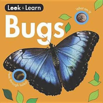 Board book Bugs Board Book