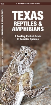 Paperback Texas Reptiles & Amphibians: A Folding Pocket Guide to Familiar Species Book