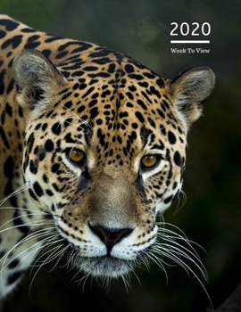 2020 A4 Diary Week To View Planner For All Occasions: | Year Planner For Business, Office, Home, University, College, School, Appointments, Organizer.