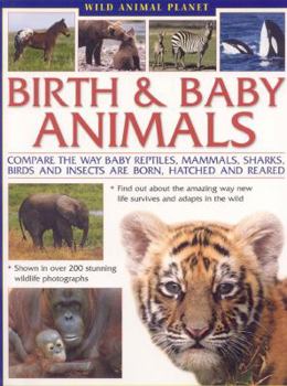 Paperback Wild Animal Planet: Birth and Baby Animals: Compare the Way Reptiles, Mammals, Sharks, Birds and Insects Are Born, Find Out about the Amazing Way New Book