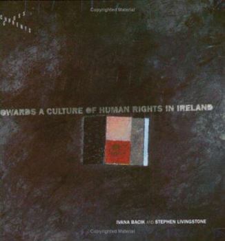 Paperback Human Rights in Ireland: From Black-Spot to Role Model? Book