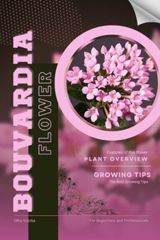 Bouvardia: Flower overview and Growing Tips