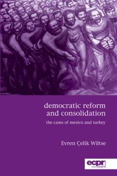 Paperback Democratic Reform and Consolidation: The Cases of Mexico and Turkey Book