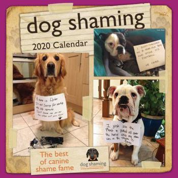 Calendar Dog Shaming 2020 Wall Calendar Book