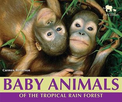 Library Binding Baby Animals of the Tropical Rain Forest Book