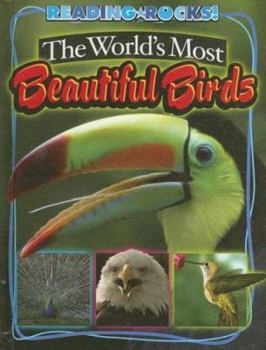 Library Binding The World's Most Beautiful Birds Book