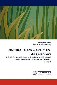 Paperback Natural Nanoparticles: An Overview Book