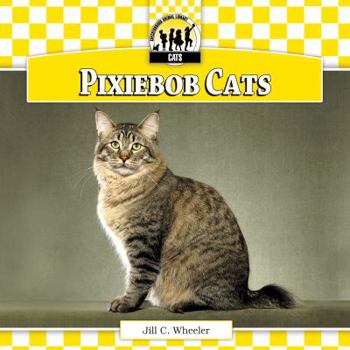 Pixiebob Cats - Book  of the Cats
