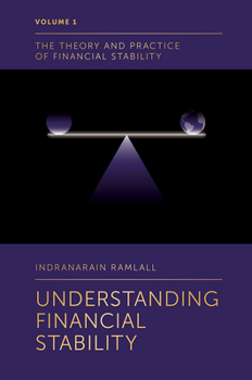 Hardcover Understanding Financial Stability Book