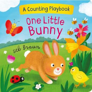 Board book One Little Bunny: A Counting Playbook Book