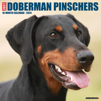 Calendar Just Dobermans 2024 12 X 12 Wall Calendar Book
