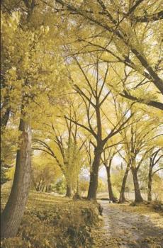 Paperback El Pasado [Spanish] Book