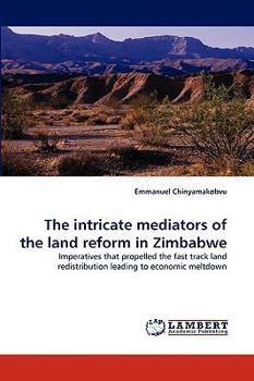 Paperback The Intricate Mediators of the Land Reform in Zimbabwe Book