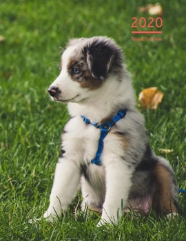 2020 A4 Diary Week To View Planner For All Occasions: | Year Planner For Business, Office, Home, University, College, School, Appointments, Organizer.