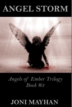 Paperback Angel Storm Book