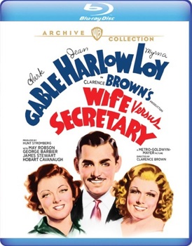 Blu-ray Wife Vs. Secretary Book