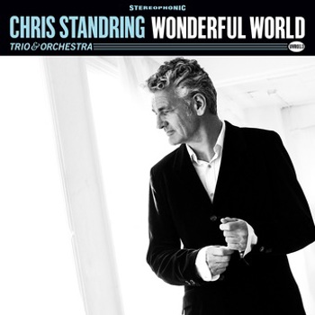 Vinyl Wonderful World Book
