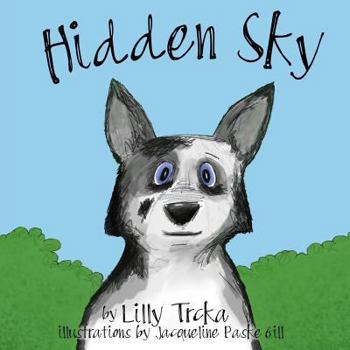 Paperback Hidden Sky Book
