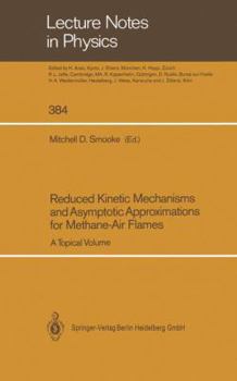 Paperback Reduced Kinetic Mechanisms and Asymptotic Approximations for Methane-Air Flames: A Topical Volume Book