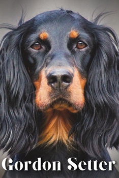 Paperback Gordon Setter: Dog breed overview and guide Book