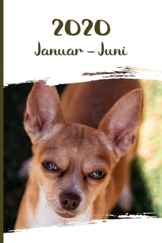 Kalender 2020: Chihuahua Hunde Tageskalender 1. Halbjahr Januar Juni ca DIN A5 weiß über 190 Seiten (German Edition)