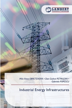 Paperback Industrial Energy Infrastructures Book