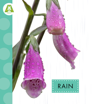 Library Binding Rain Book