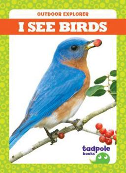 Paperback I See Birds Book