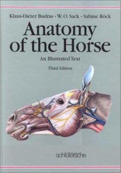 Hardcover Anatomy of the Horse: An Illustrated Text Book