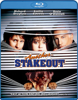 Blu-ray Another Stakeout Book