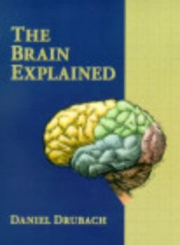 Paperback The Brain Explained Book