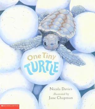 Paperback One Tiny Turtle Book