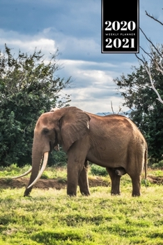 Elephant Mammoth Week Planner Weekly Organizer Calendar 2020 / 2021 - On the Meadow: Cute Wildlife Animal Pet Bullet Journal Notebook Diary in 6” x 9” Inch Pocket Size