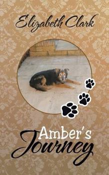 Paperback Amber's Journey Book