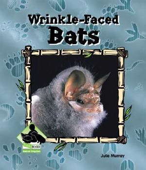 Library Binding Wrinkle-Faced Bats Book