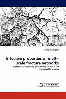 Paperback Effective properties of multi-scale fracture networks Book