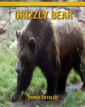 Paperback Grizzly bear: Amazing Pictures and Facts Book