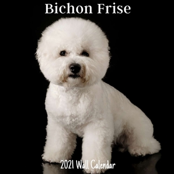 Paperback Bichon Frise 2021 Wall Calendar: Bichon Frise 2021 Calendar, 18 Months. Book