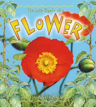 Paperback Flower Book