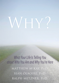 Paperback Why?: What Your Life Is Telling You about Who You Are and Why You're Here Book