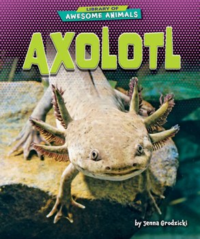 Library Binding Axolotl Book