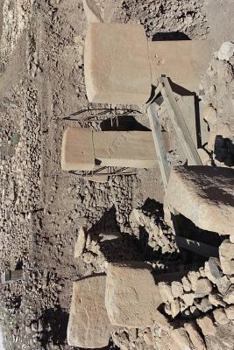 Gobekli Tepe B Ring Archaeology Journal: 150 Page Lined Notebook/Diary