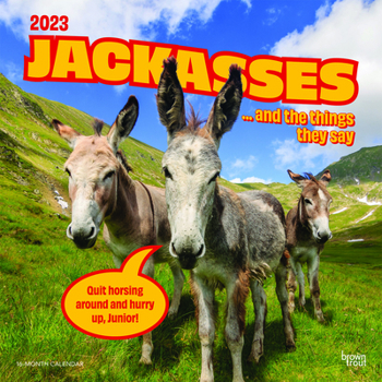 Calendar Jackasses 2023 Square Book
