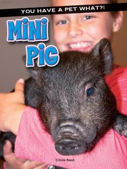 Mini Pig - Book  of the You Have a Pet What?!